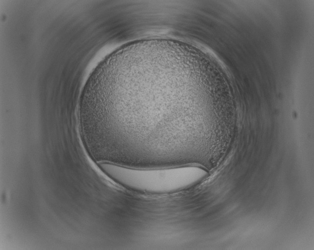 X0000073751432200608171320