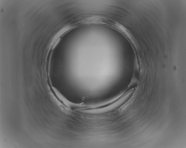 X0000073751434200608171320