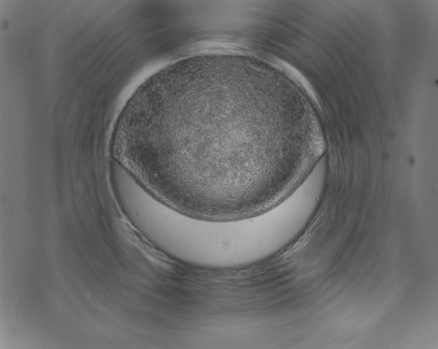 X0000073751435200608171320