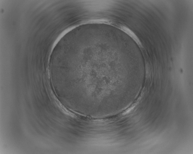 X0000073751436200608171320