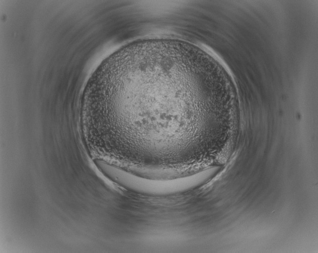 X0000073751437200608171320