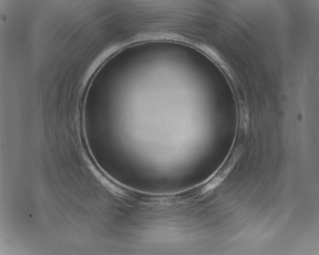 X0000073751438200608171320