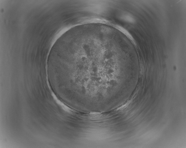 X0000073751439200608171320