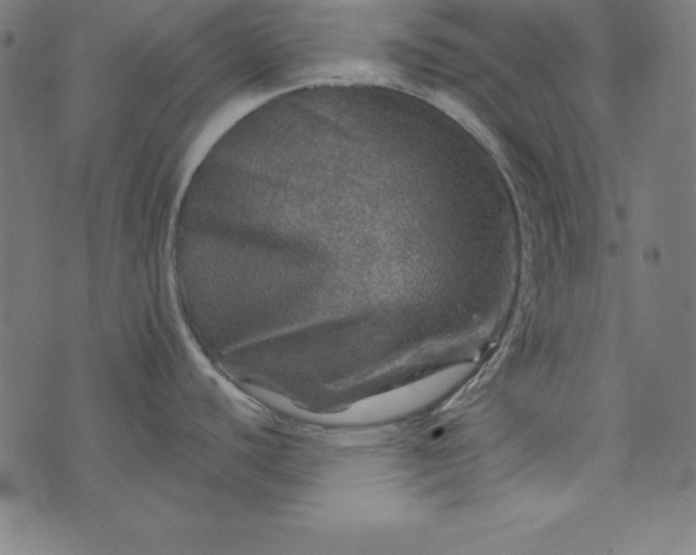 X0000073751440200608171320