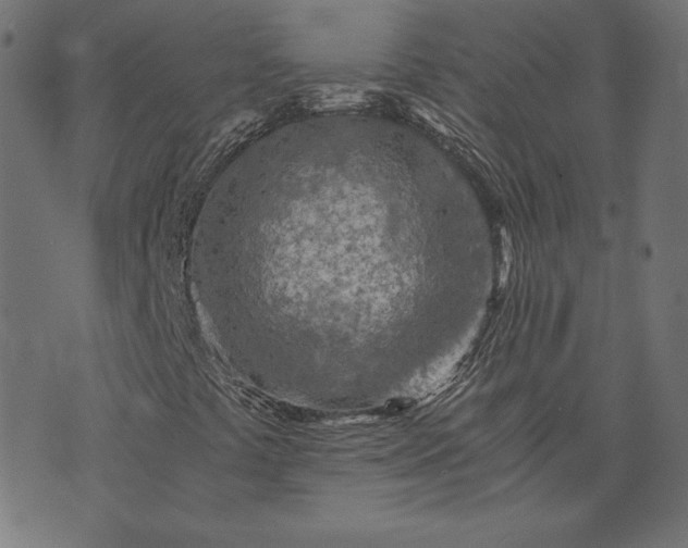 X0000073751441200608171319