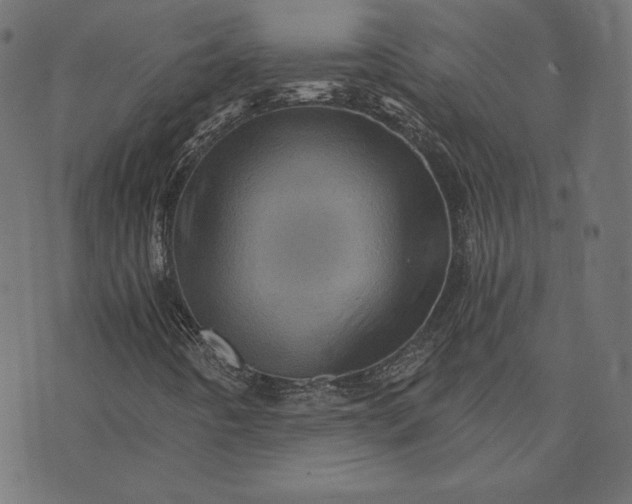 X0000073751442200608171319