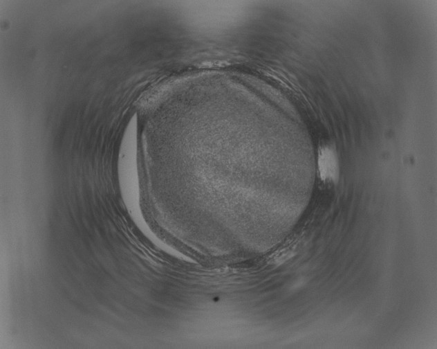 X0000073751444200608171319