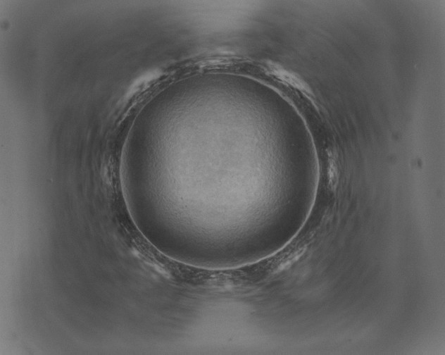 X0000073751445200608171319