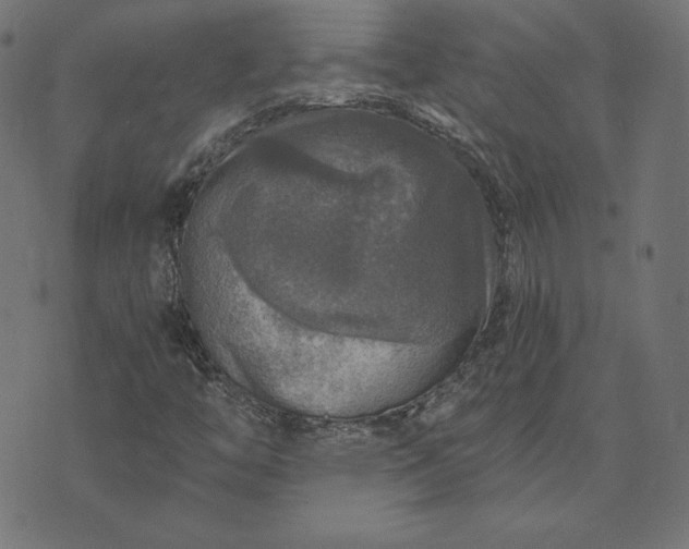 X0000073751446200608171319