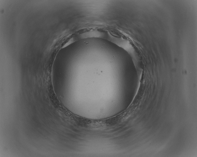 X0000073751447200608171319