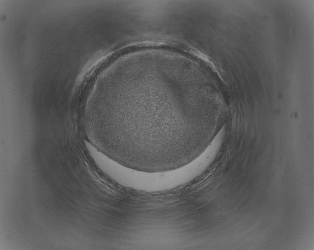 X0000073751448200608171319