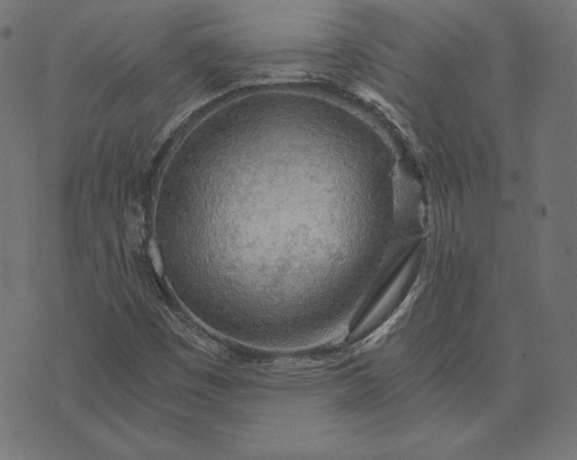 X0000073751449200608171319