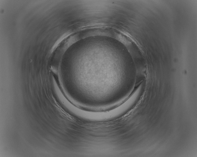 X0000073751450200608171319