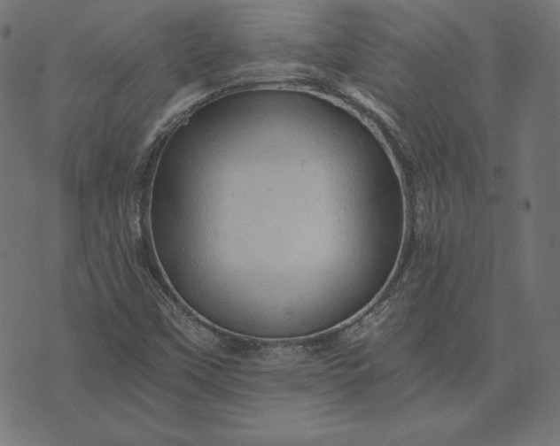 X0000073751451200608171319