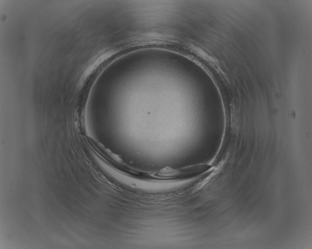 X0000073751453200608171319