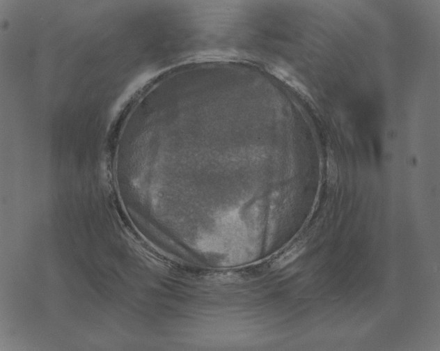 X0000073751454200608171319