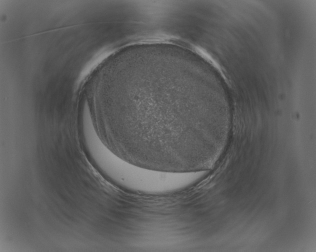 X0000073751456200608171319