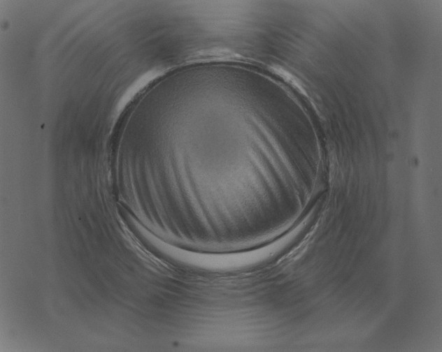 X0000073751458200608171319