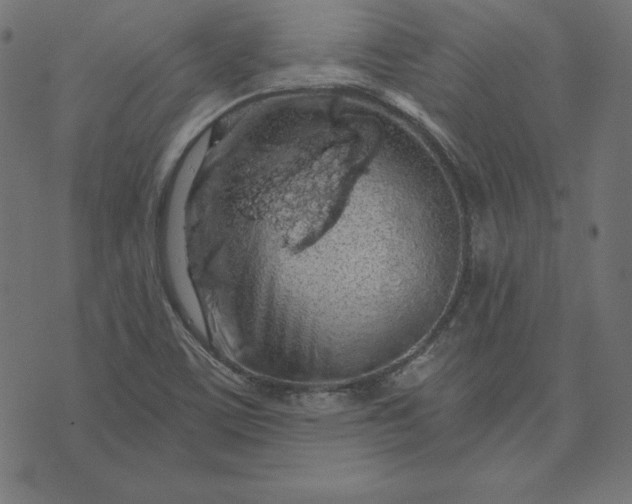 X0000073751459200608171319