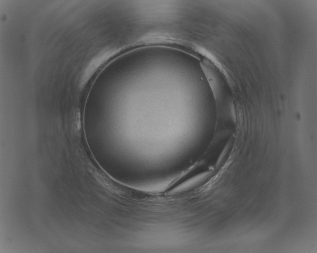 X0000073751461200608171319