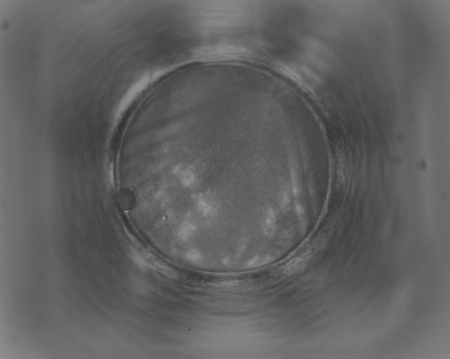 X0000073751462200608171319