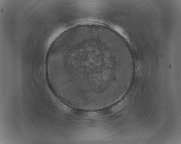 X0000073751463200608171319