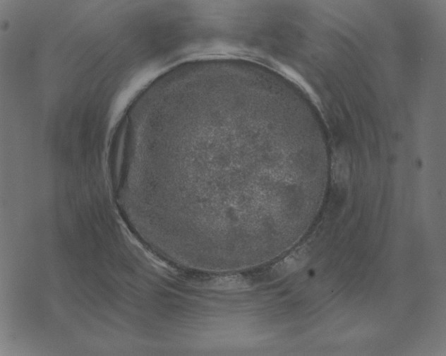 X0000073751464200608171319