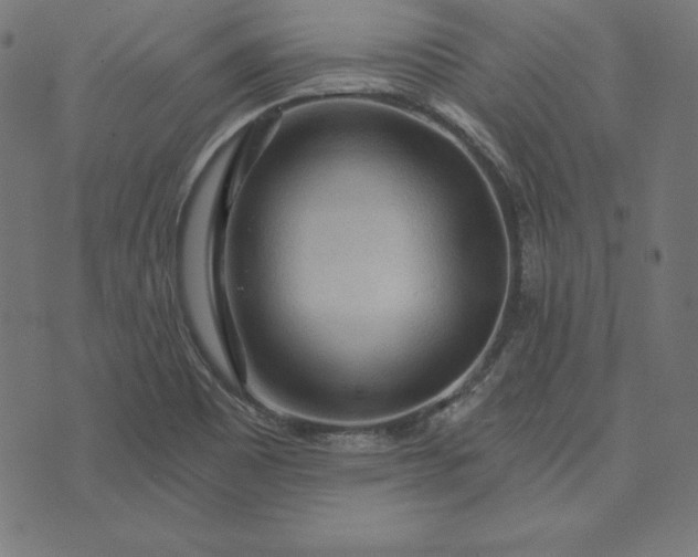 X0000073751465200608171319