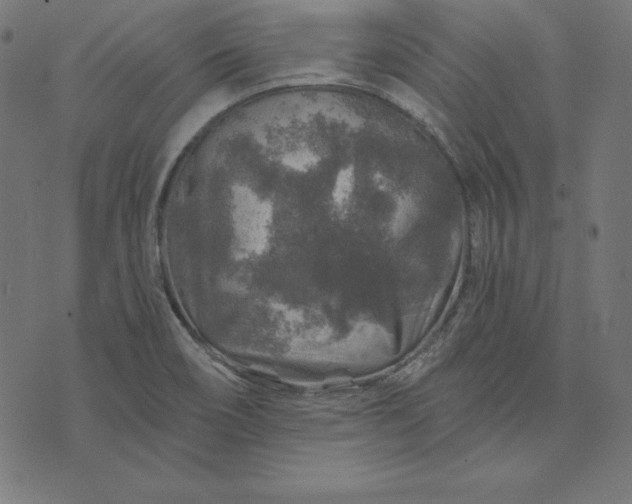 X0000073751466200608171319