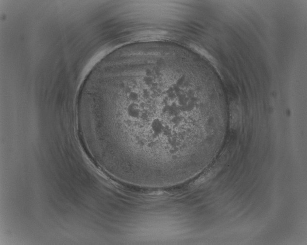 X0000073751467200608171319