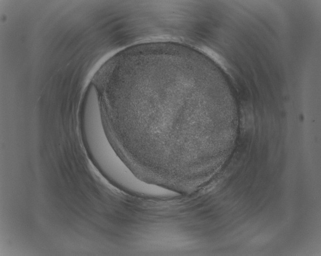 X0000073751468200608171319