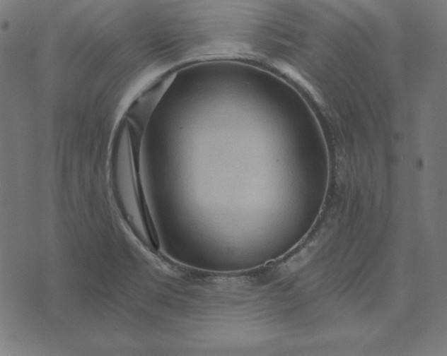 X0000073751469200608171319