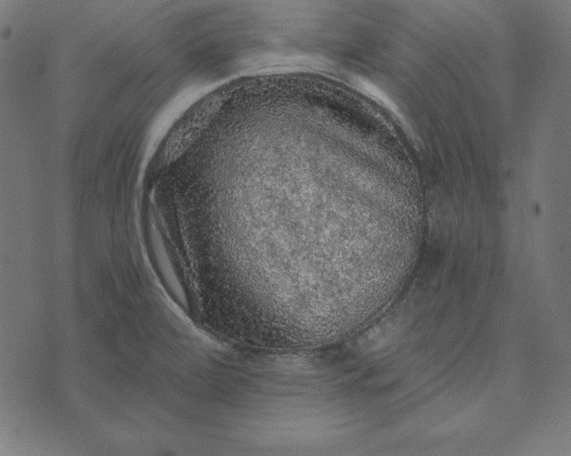 X0000073751472200608171319