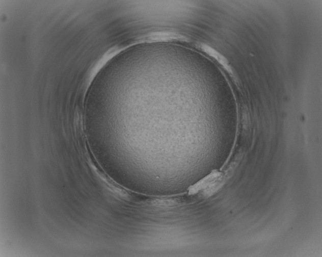 X0000073751473200608171319