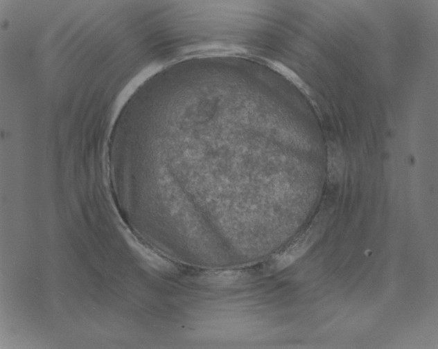 X0000073751474200608171319