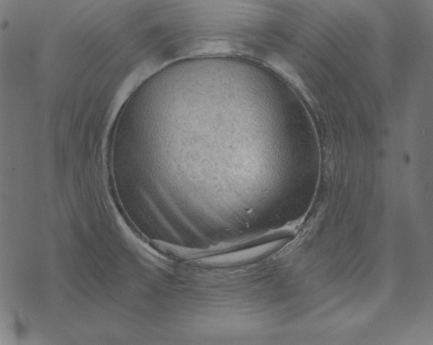 X0000073751475200608171319