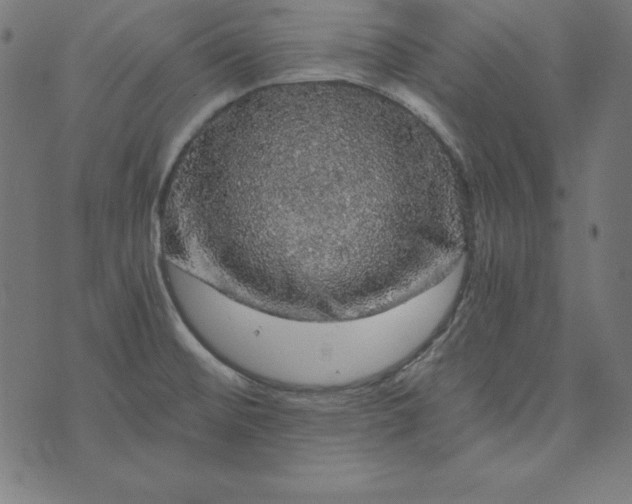 X0000073751476200608171319