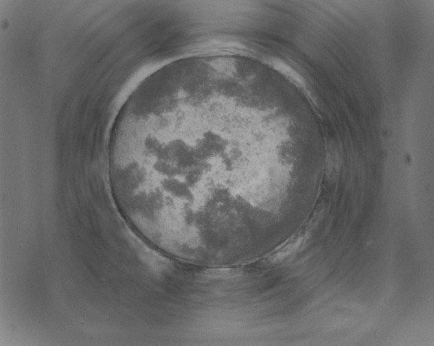 X0000073751478200608171319