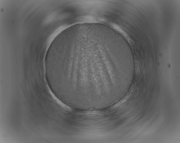 X0000073751479200608171319