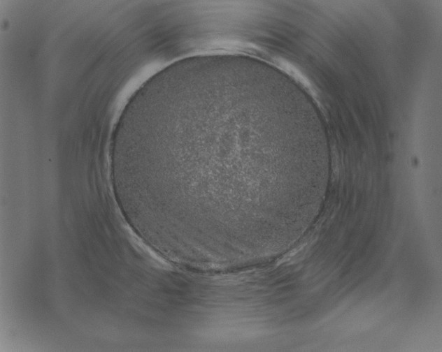 X0000073751480200608171319