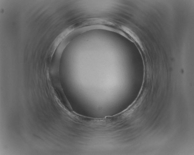 X0000073751481200608171319