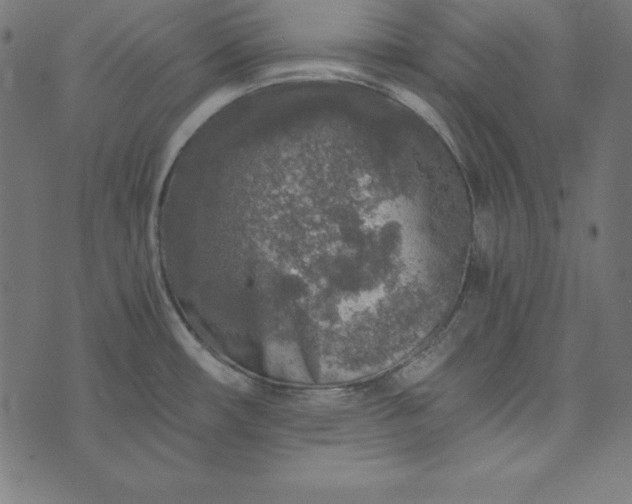 X0000073751482200608171319