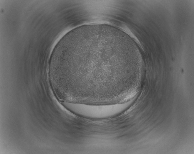 X0000073751484200608171319