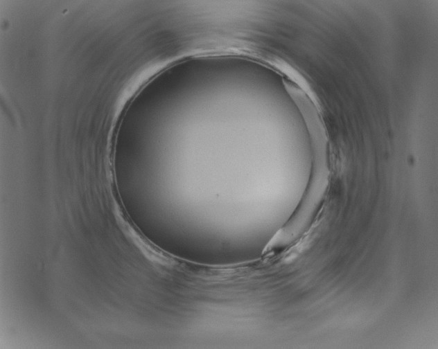 X0000073751485200608171319