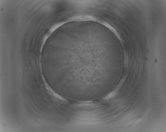 X0000073751486200608171318