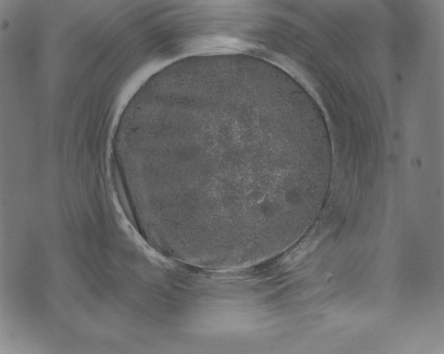 X0000073751488200608171318