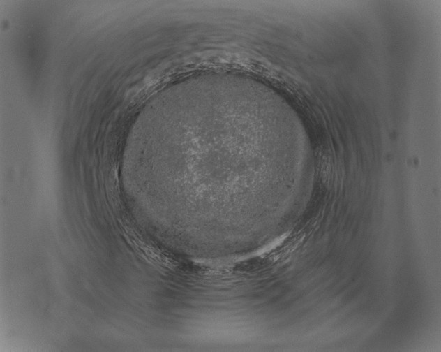 X0000073751489200608171318