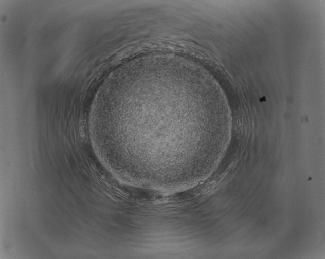 X0000073751490200608171318