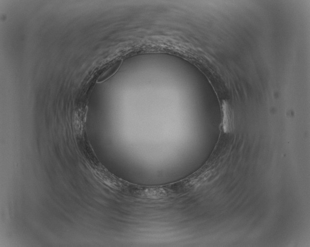 X0000073751491200608171318