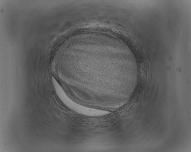 X0000073751493200608171318